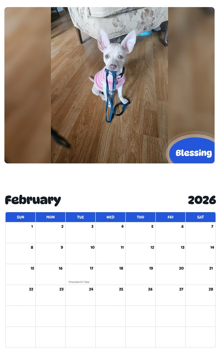 November 2025 - October 2026 Blessing - Pawidols Pet Calendar