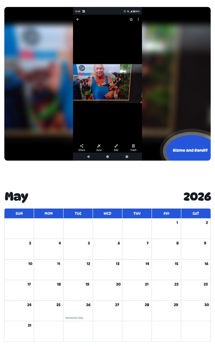 2026 - 2027 Gizmo and Bandit - Pawidols Pet Calendar