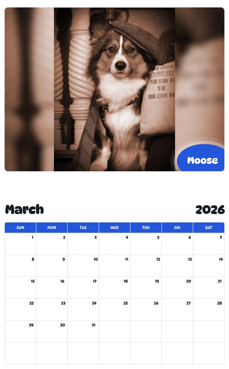 November 2025 - October 2026 Moose - Pawidols Pet Calendar