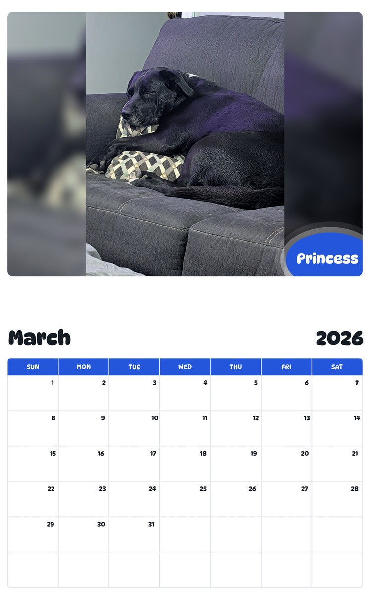November 2025 - October 2026 Princess - Pawidols Pet Calendar