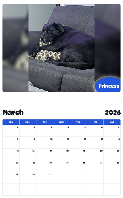 November 2025 - October 2026 Princess - Pawidols Pet Calendar