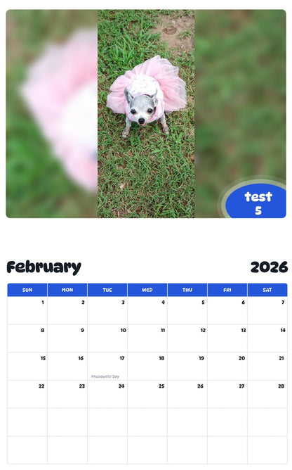 November 2025 - October 2026 test 5 - Pawidols Pet Calendar