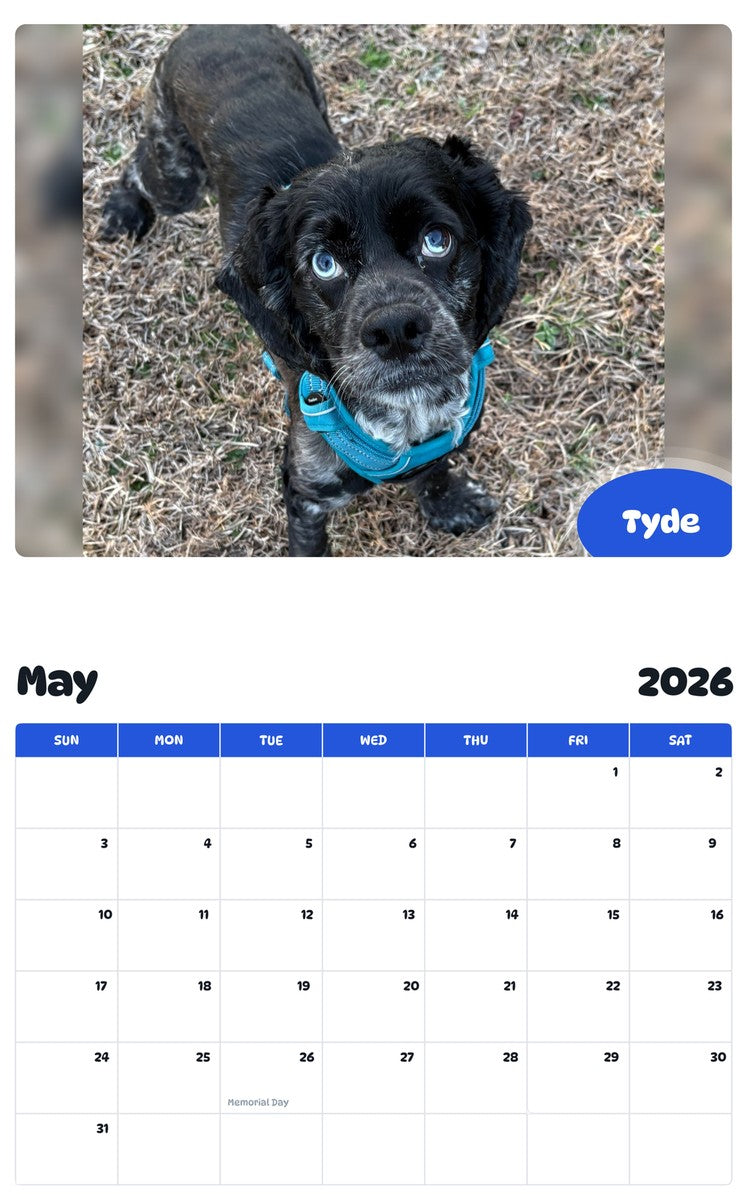 2026 - 2027 Tyde - Pawidols Pet Calendar