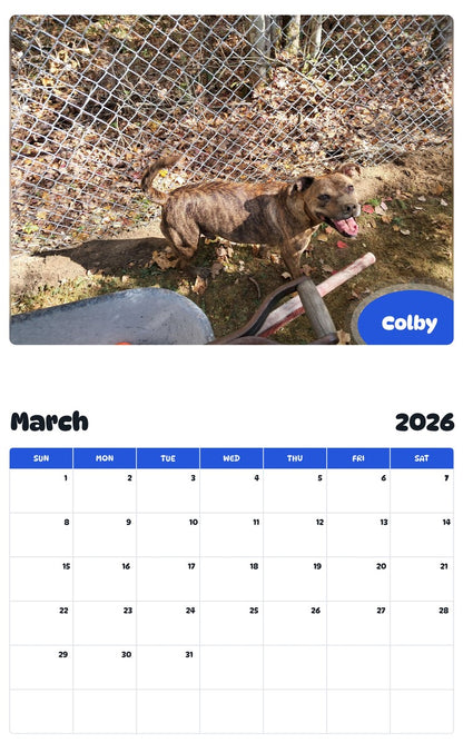 November 2025 - October 2026 Colby - Pawidols Pet Calendar