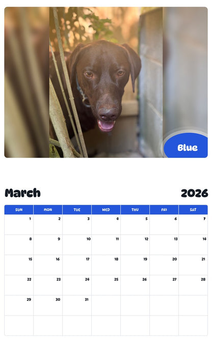 November 2025 - October 2026 Blue - Pawidols Pet Calendar