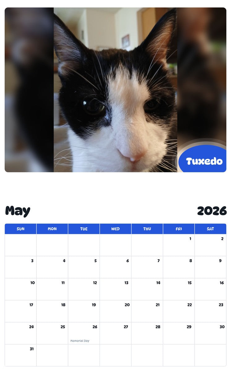 2026 - 2027 Tuxedo - Pawidols Pet Calendar