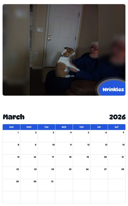 November 2025 - October 2026 Wrinkles - Pawidols Pet Calendar
