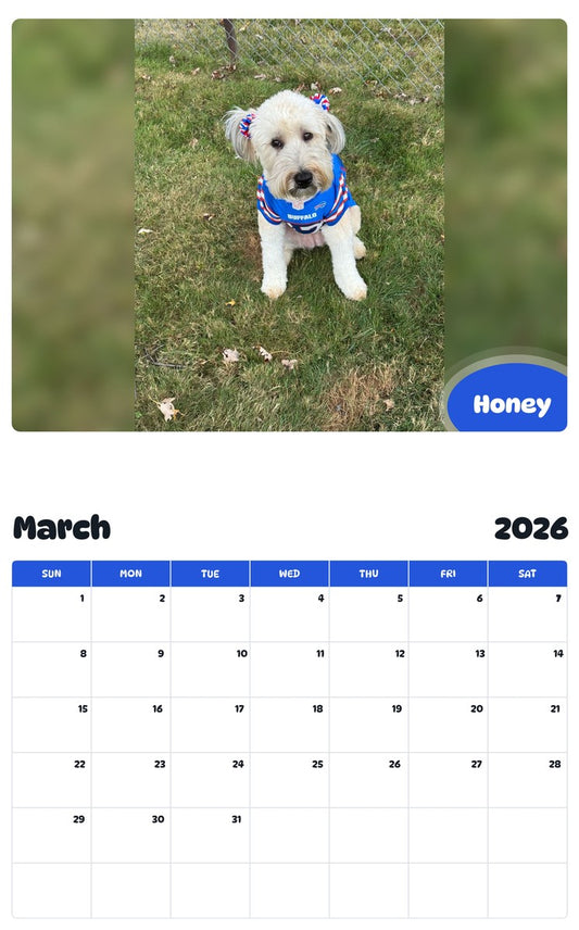 November 2025 - October 2026 Honey for Maralyn - Pawidols Pet Calendar