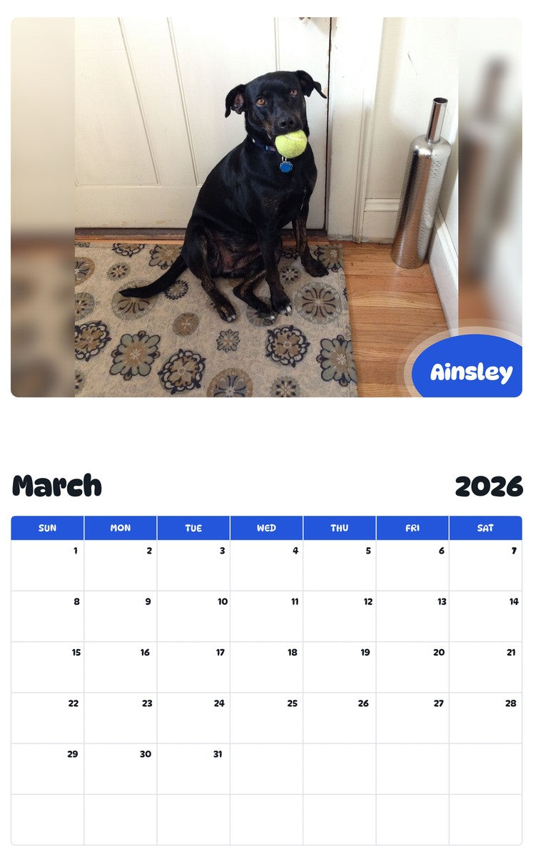 November 2025 - October 2026 Ainsley - Pawidols Pet Calendar
