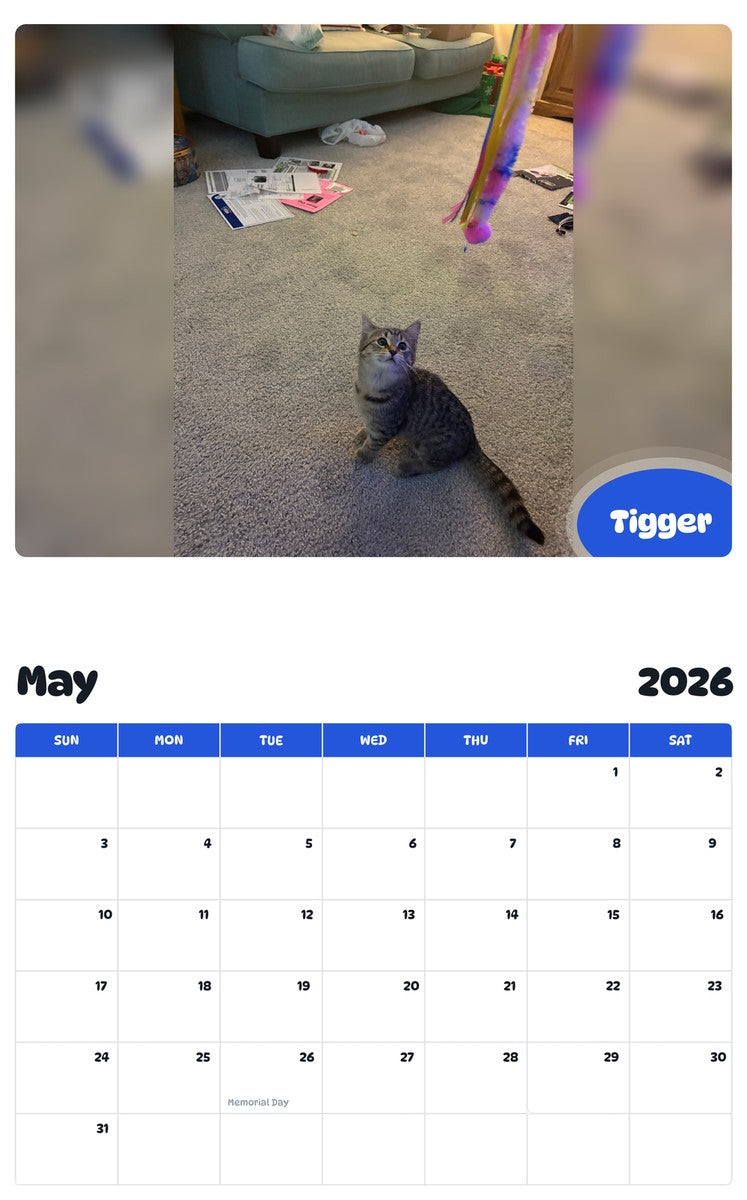 2026 - 2027 Tigger - Pawidols Pet Calendar