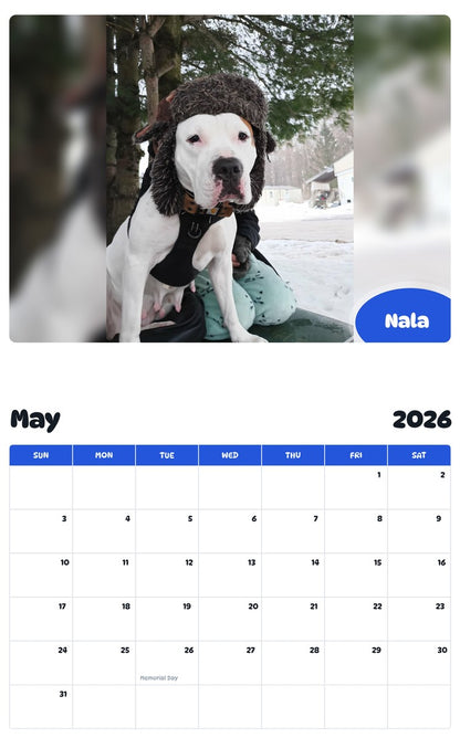 2026 - 2027 Nala - Pawidols Pet Calendar