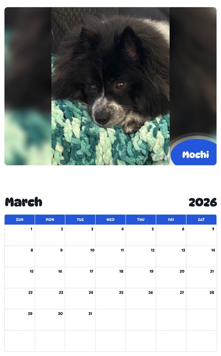 November 2025 - October 2026 Mochi - Pawidols Pet Calendar