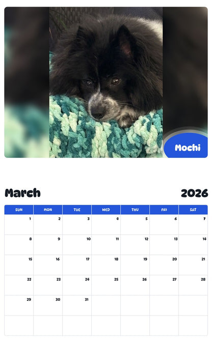 November 2025 - October 2026 Mochi - Pawidols Pet Calendar