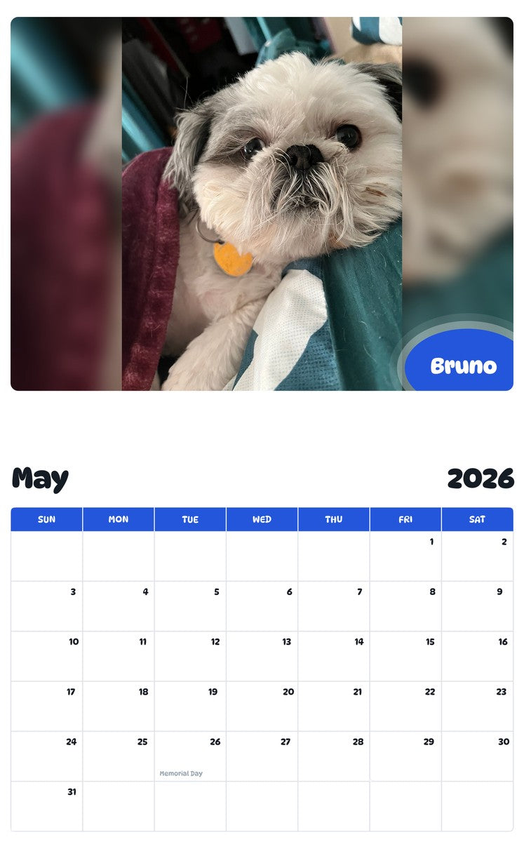 2026 - 2027 Bruno - Pawidols Pet Calendar