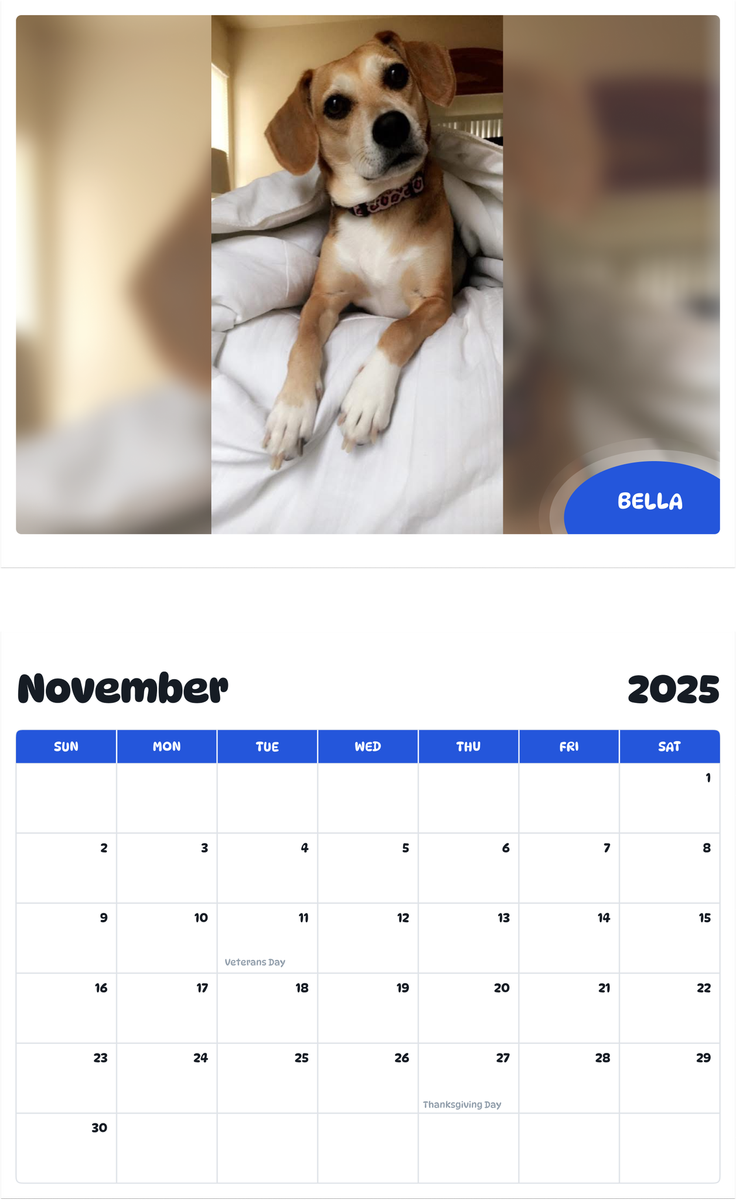 July 2025 - June 2026 Bella - Pawidols Pet Calendar