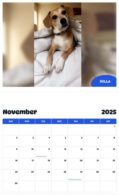 July 2025 - June 2026 Bella - Pawidols Pet Calendar