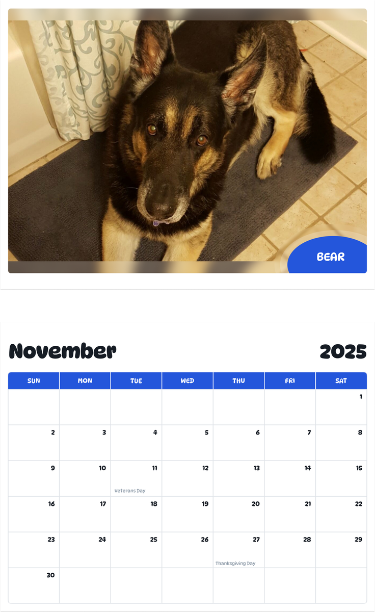 July 2025 - June 2026 Bear - Pawidols Pet Calendar