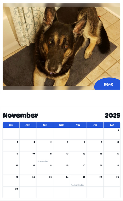 July 2025 - June 2026 Bear - Pawidols Pet Calendar