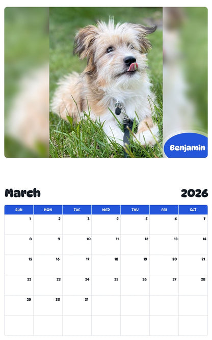 November 2025 - October 2026 Benjamin - Pawidols Pet Calendar
