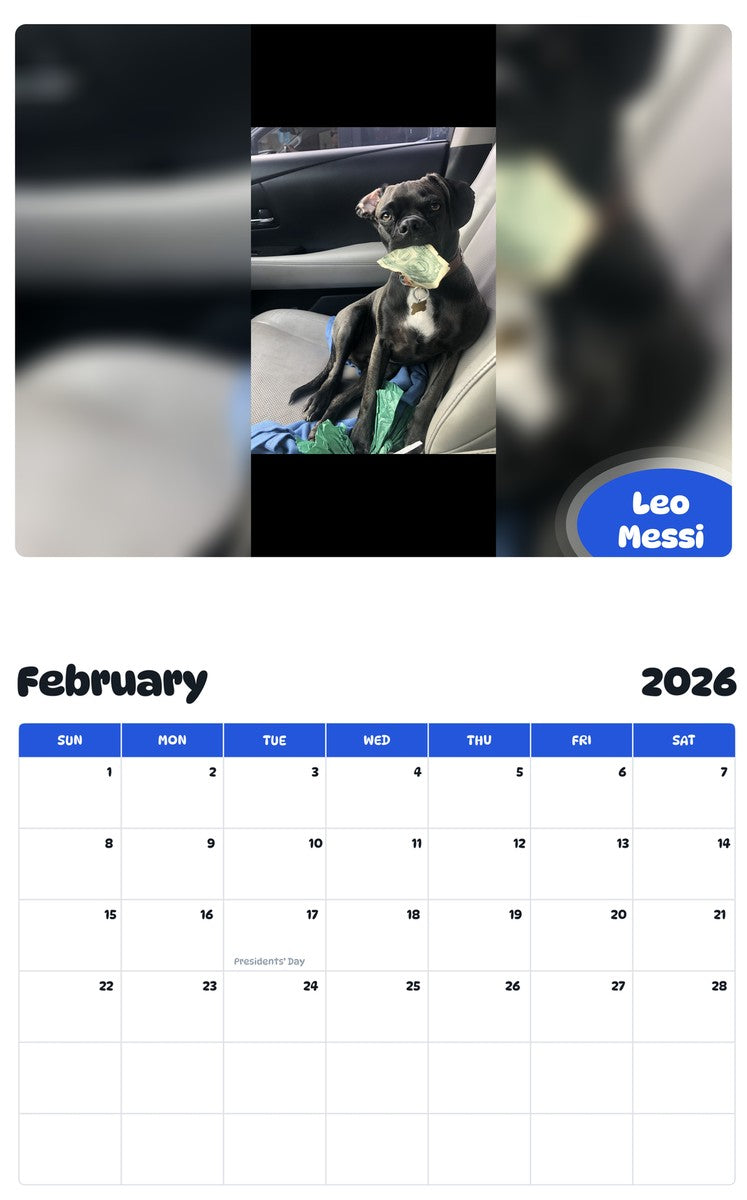 November 2025 - October 2026 Leo Messi - Pawidols Pet Calendar
