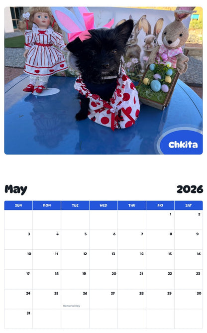 2026 - 2027 Chkita - Pawidols Pet Calendar