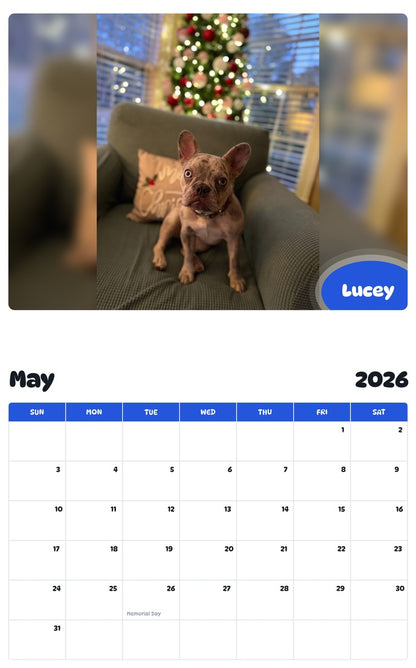 2026 - 2027 Lucey - Pawidols Pet Calendar