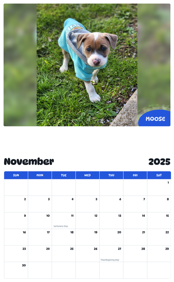 July 2025 - June 2026 Moose - Pawidols Pet Calendar