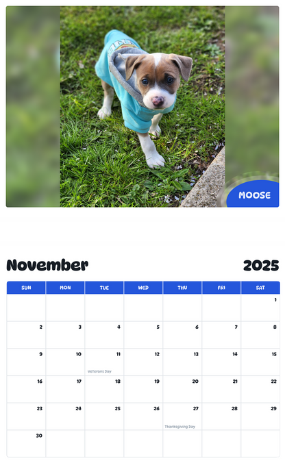 July 2025 - June 2026 Moose - Pawidols Pet Calendar