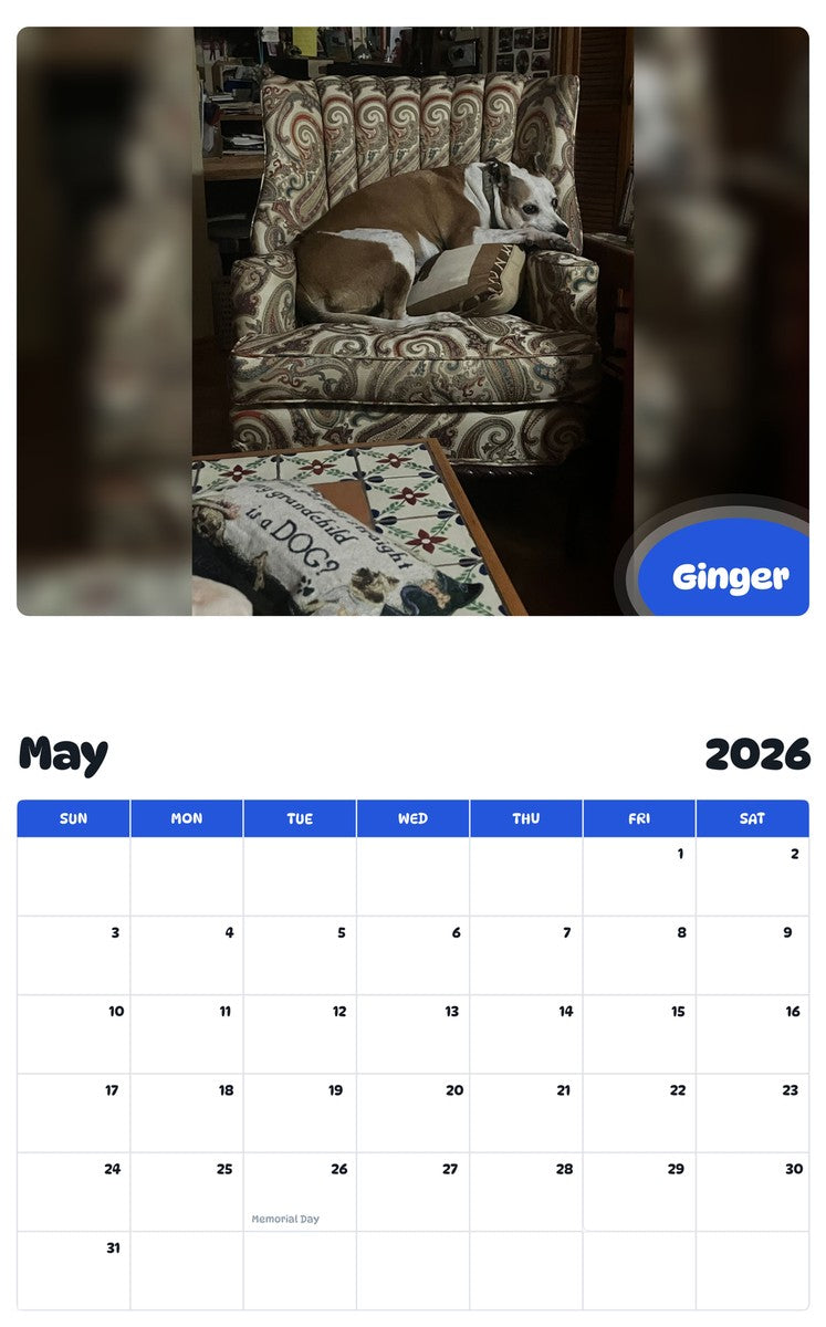2026 - 2027 Ginger - Pawidols Pet Calendar