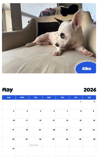 2026 - 2027 Kiko - Pawidols Pet Calendar