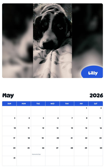 2026 - 2027 Lilly - Pawidols Pet Calendar