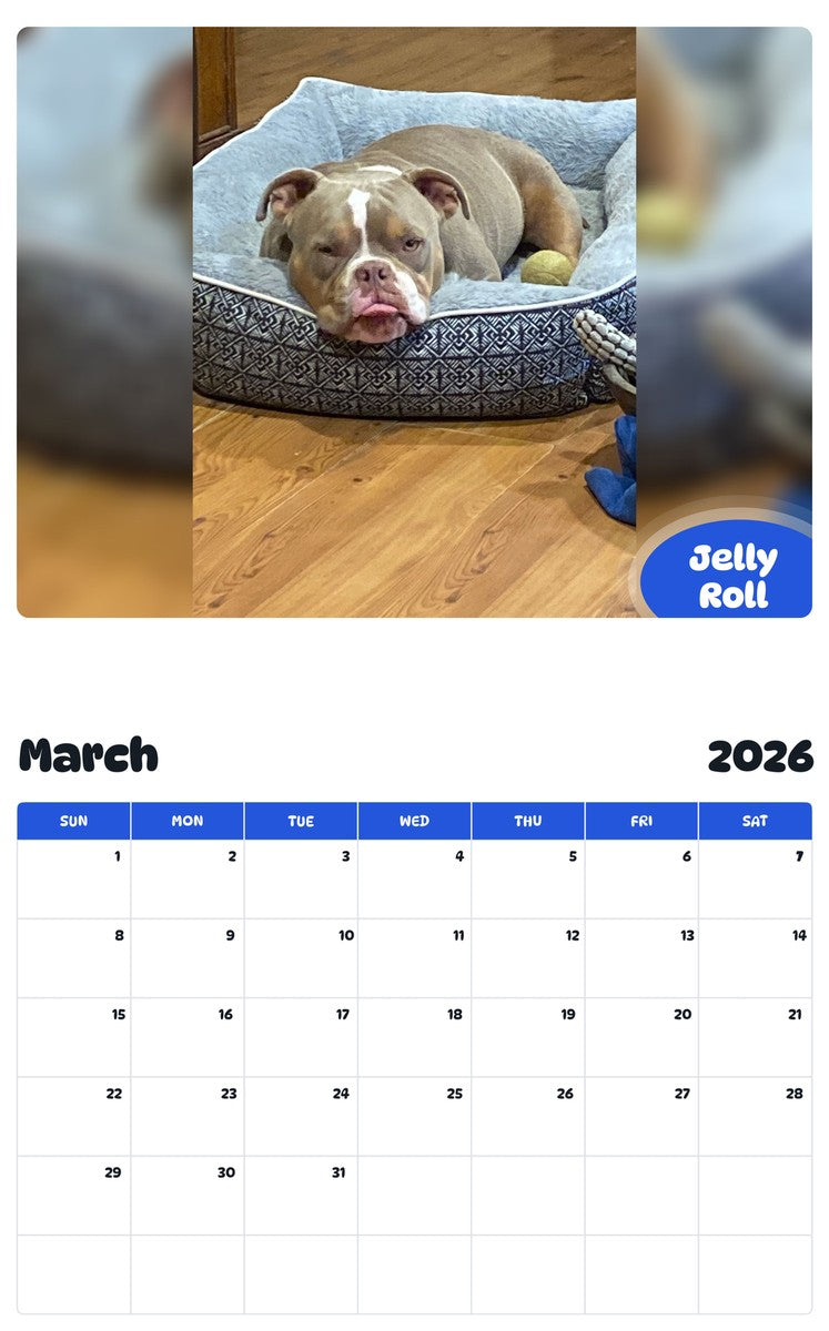 November 2025 - October 2026 Jelly Roll - Pawidols Pet Calendar