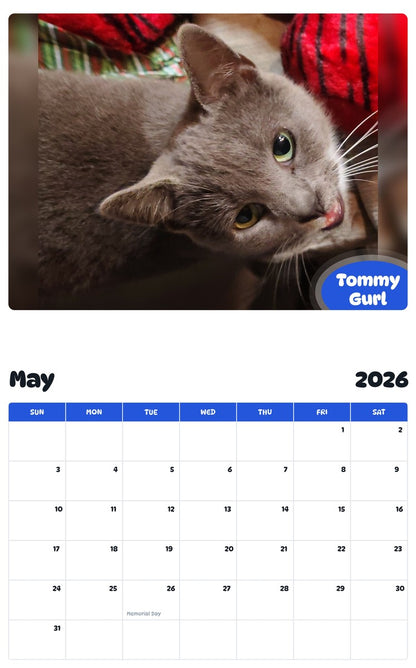 2026 - 2027 Tommy Gurl - Pawidols Pet Calendar