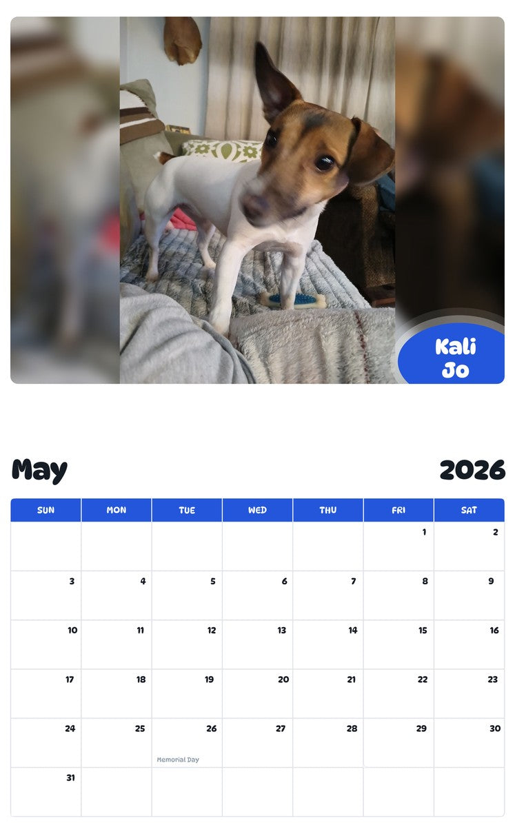2026 - 2027 Kali Jo - Pawidols Pet Calendar
