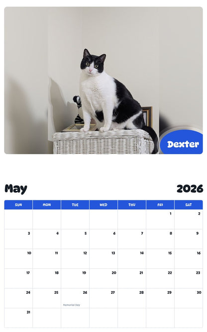 2026 - 2027 Dexter - Pawidols Pet Calendar