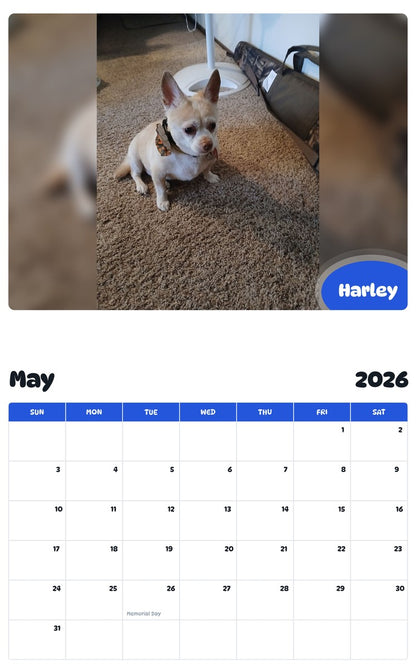 2026 - 2027 Harley - Pawidols Pet Calendar