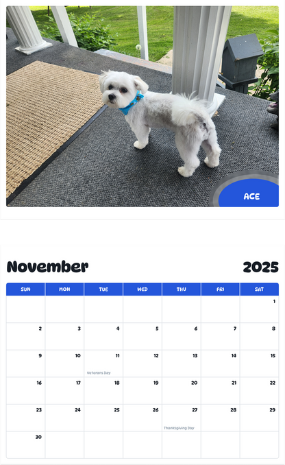 July 2025 - June 2026 Ace - Pawidols Pet Calendar