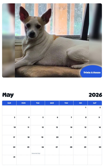 2026 - 2027 Trixie & Bosco - Pawidols Pet Calendar