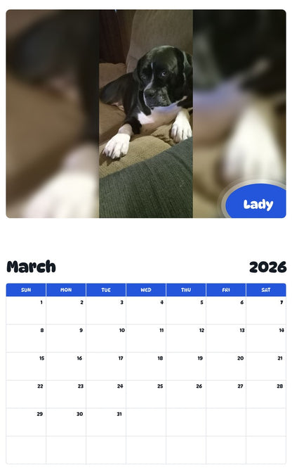 November 2025 - October 2026 Lady - Pawidols Pet Calendar