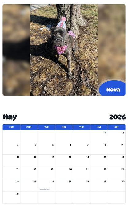 2026 - 2027 Nova - Pawidols Pet Calendar