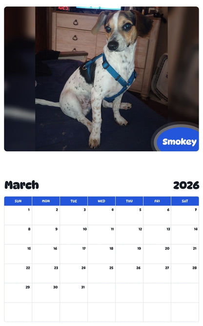 November 2025 - October 2026 Smokey - Pawidols Pet Calendar