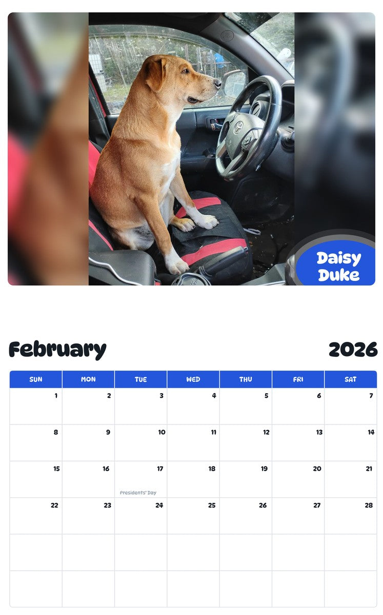 November 2025 - October 2026 Daisy Duke - Pawidols Pet Calendar