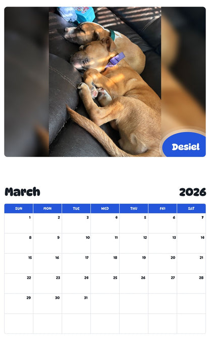 November 2025 - October 2026 Desiel - Pawidols Pet Calendar