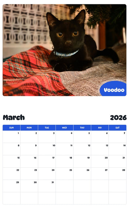November 2025 - October 2026 Voodoo - Pawidols Pet Calendar