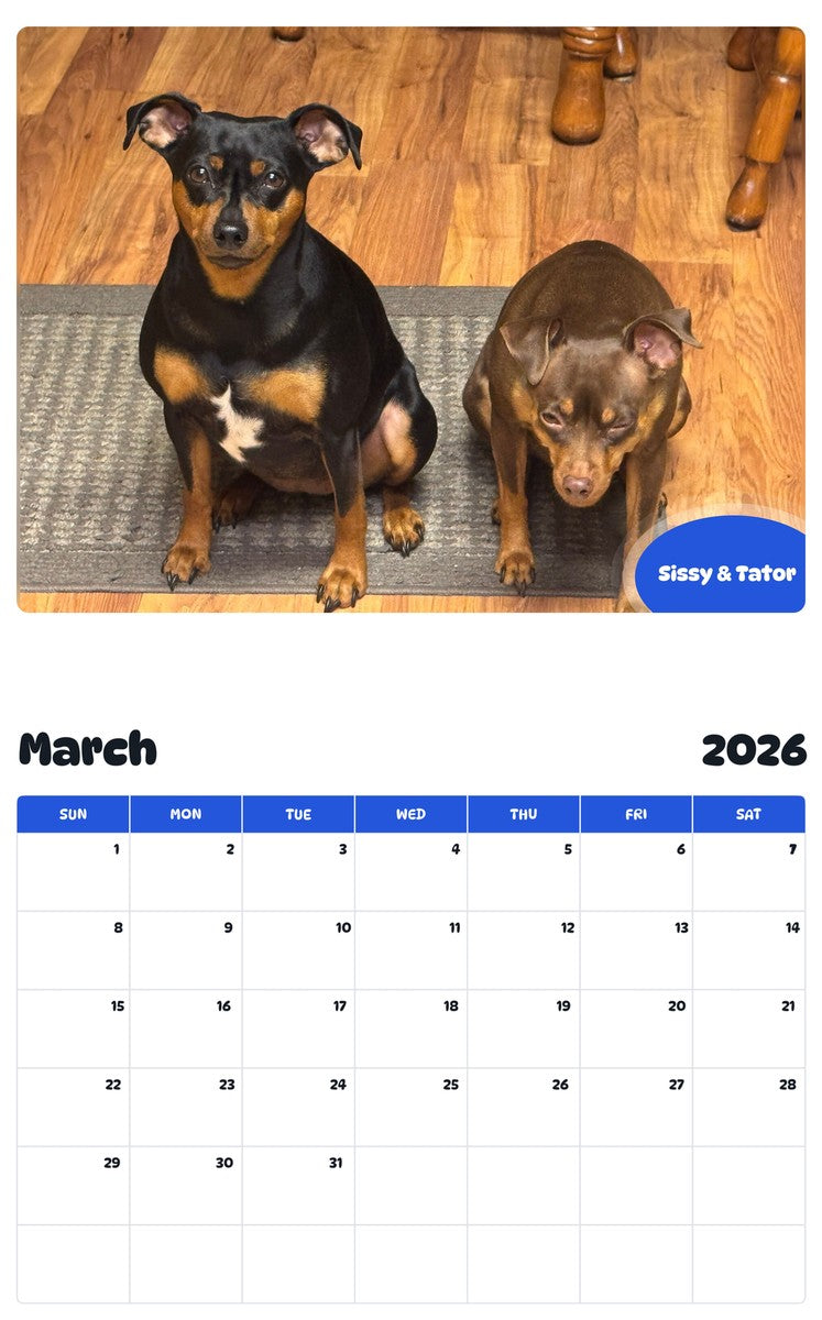 November 2025 - October 2026 Sissy & Tator - Pawidols Pet Calendar