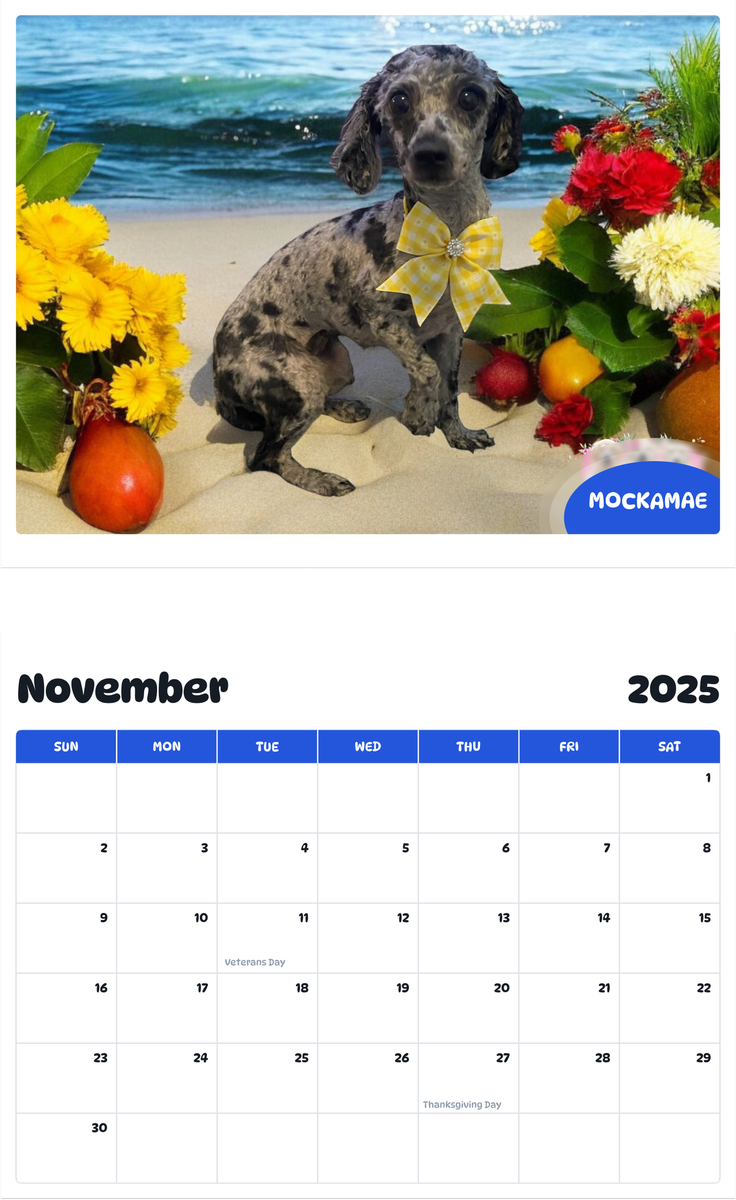 July 2025 - June 2026 MockaMae - Pawidols Pet Calendar