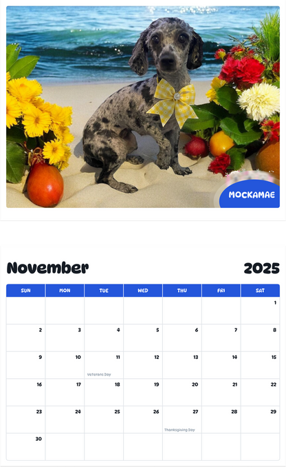 July 2025 - June 2026 MockaMae - Pawidols Pet Calendar