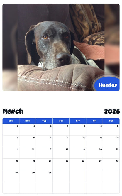 November 2025 - October 2026 Hunter - Pawidols Pet Calendar