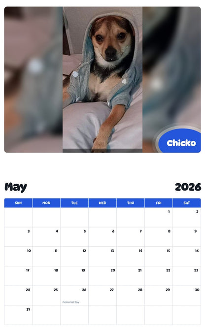 2026 - 2027 Chicko - Pawidols Pet Calendar