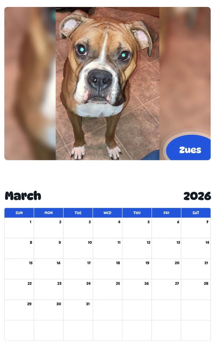 November 2025 - October 2026 Zues - Pawidols Pet Calendar